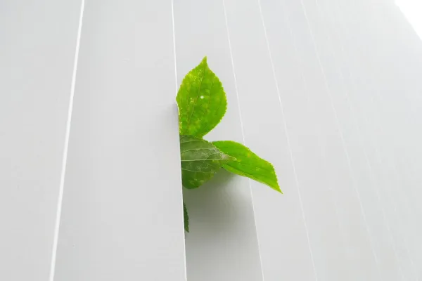 Abstract representation of resistance and obstacles